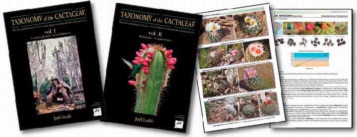 Taxonomy of the Cactaceae 2 vols. ENGLISH