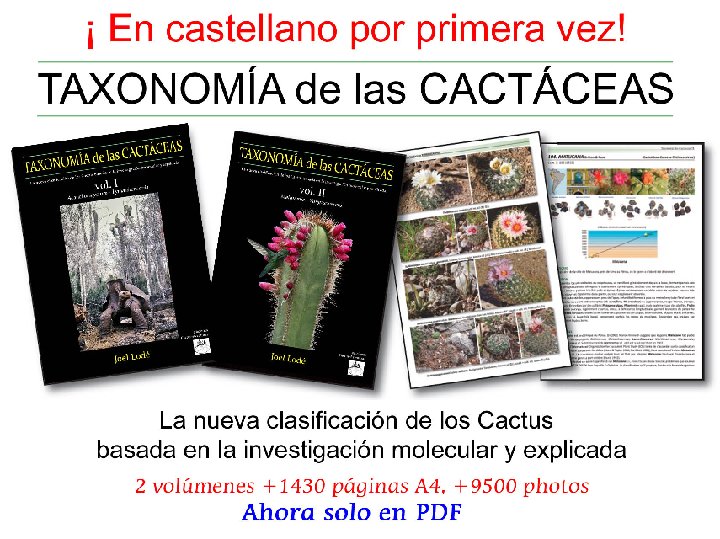 Taxonomia de las Cactaceas ESPAÑOL