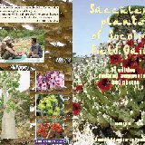 MULTILINGUAL    NEW, Succulents Plants of Socotra 2023 3rd ed. couverture souple 88 pages, +310 photos couleurs, ed. Cactus-Aventures Int. (MULTILINGUE)    Fruit de plusieurs séjours à Socotra, ce petit guide revu, corrigé, actualisé et augmenté est destiné aux voyageurs et aux collectionneurs des Succulentes de cette île magique, puisqu’il prétend illustrer la presque totalité des espèces présentes à Socotra, et qu’il permettra de les identifier sur le terrain, avec les principaux sites que l’on visite, incluant de nouveaux par rapport à la 1ère édition. Un index pratique termine l’ouvrage. Plus de détails sur le contenu et choix de paiements directement ici :   (lien en français ici)     (link to english here)     (enlace al español aquí)