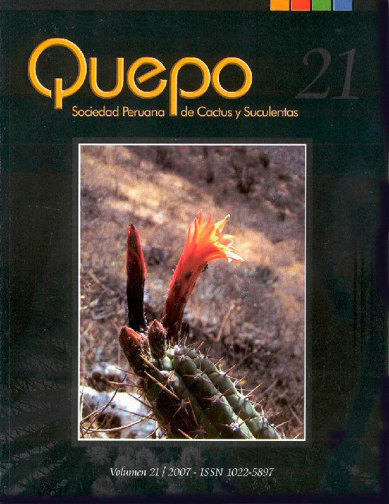 Quepo21-2007