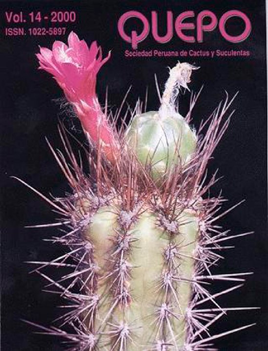Quepo14-2000