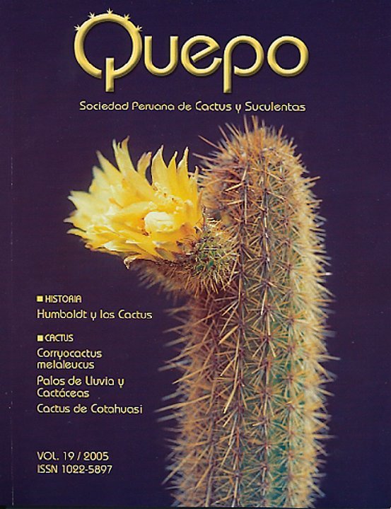 Quepo19-2005