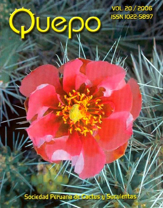 Quepo20-2006
